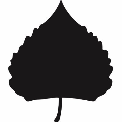 Bosque Brewing Las Cruces Public House