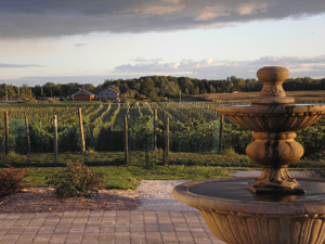 Parallel 44 Vineyard & Winery