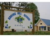 Brooks Hill Winery