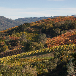 Kuleto Estate Family Vineyards