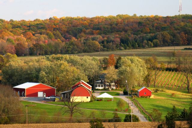 Unionville Vineyards