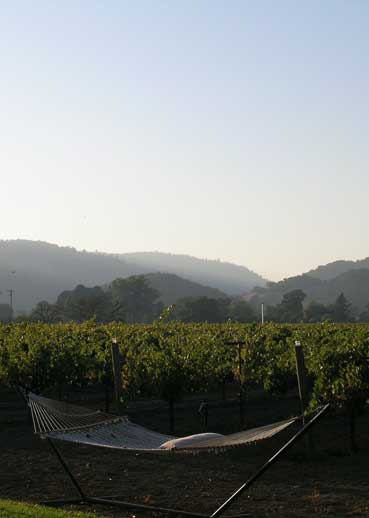 O'Brien Estate Winery