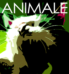 Animale