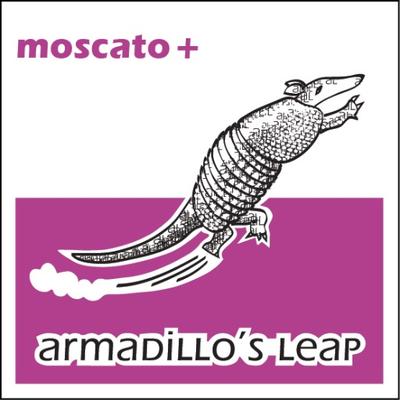 Armadillo’s Leap Winery