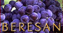 Beresan Winery