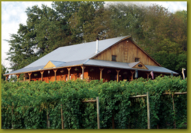 Cameo Vineyards