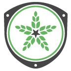 Fulton Beer
