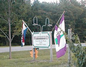 Harpersfield Vineyard