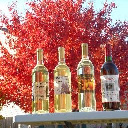 Healy's Winery