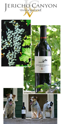 Jericho Canyon Vineyard