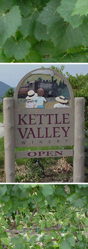 Kettle Valley Winery