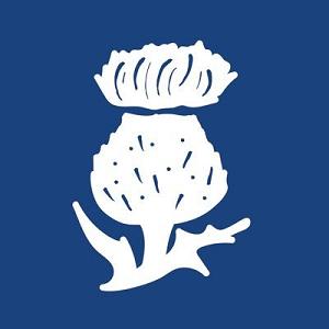 Little Thistle Brewing
