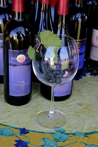 Moonrise Bay Vineyard