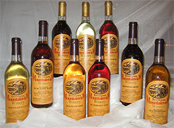 Morris Vineyard & Winery