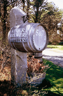 Nantucket Vineyard