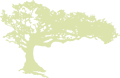 Oak Savanna Vineyard