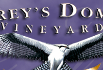 Osprey's Dominion Vineyards