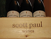 Scott Paul Wines