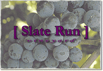 Slate Run Vineyard