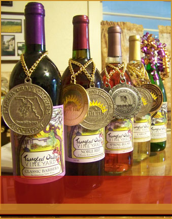 Tangled Oaks Vineyard