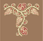 Tara Vineyard & Winery