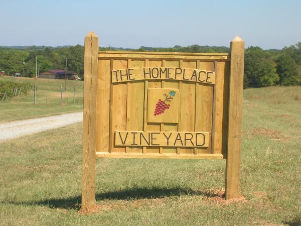 The Homeplace Vineyard