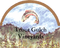 Trout Gulch Vineyards