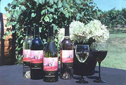 Truro Vineyards of Cape Cod