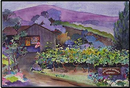 Volcano Winery