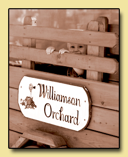Williamson Orchards and Vineyards