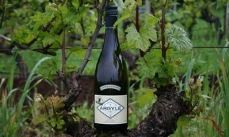 Nuthouse Chardonnay