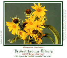 Maximilian Sunflower