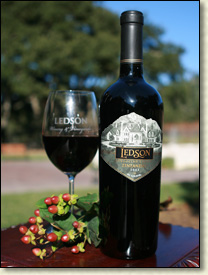 Zinfandel, Mendocino 'Old Vine', 2005