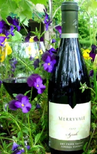 Syrah, Napa Valley