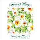 Daffodil White