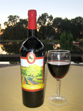 Cabernet Franc