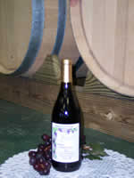 Chambourcin