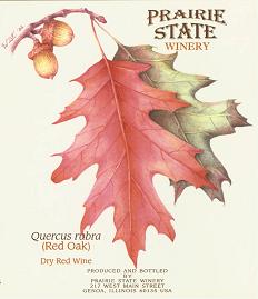 Red Oak (Quercus rubra)
