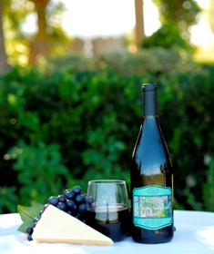 Ponte Petite Syrah