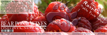 Raspberry
