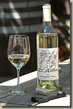 D’Anbino Sauvignon Blanc