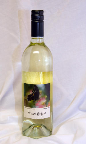 Pinot Grigio