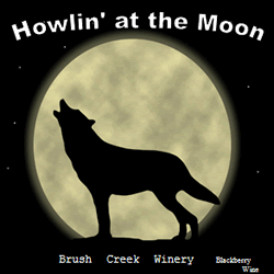 Howlin' at the Moon