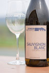 Sauvignon Blanc