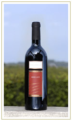 Collina 48: Merlot