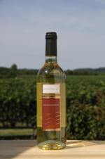 Collina 48: Chardonnay