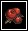 Cranberry